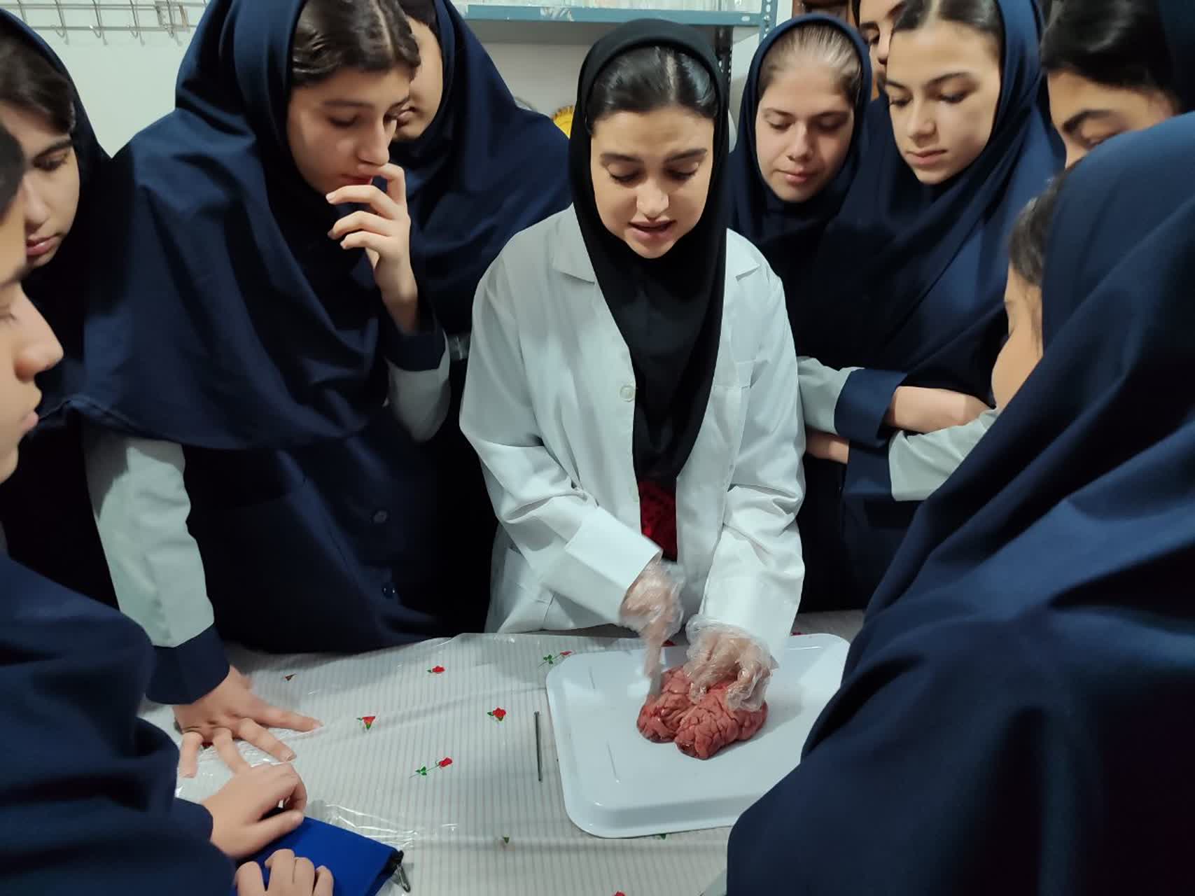 برگزاری روز آزمایشگاه سال تحصیلی 1404